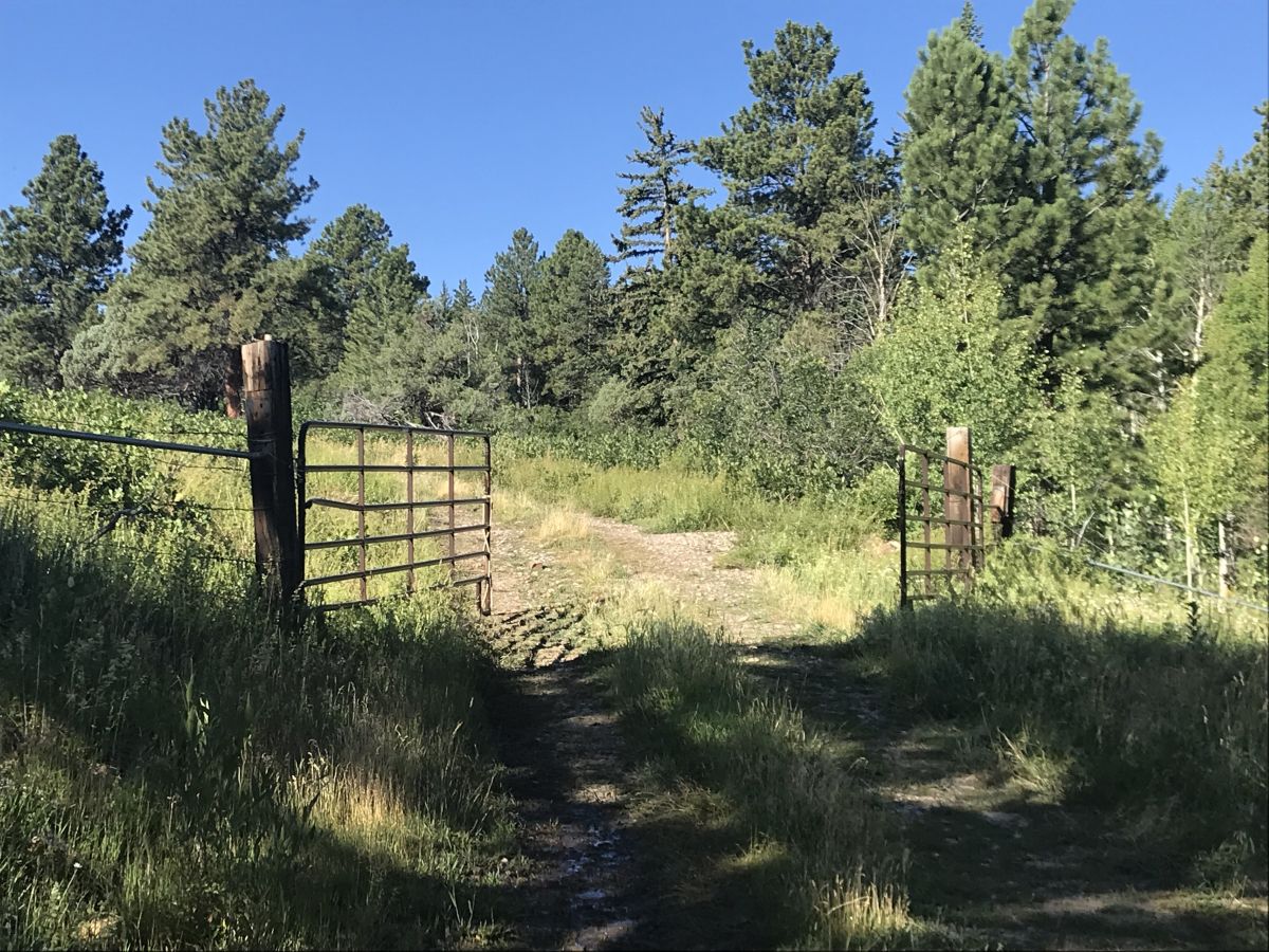 Lease #6 - Eight Bar Ranch $3,000 per hunter (includes lodging)
