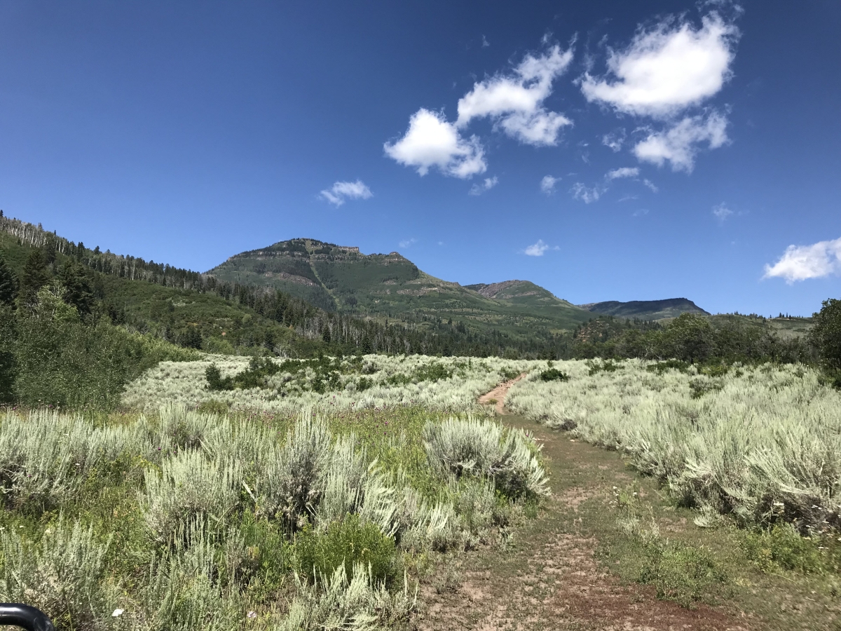 Lease #5 - Red Dirt Ranch $3,500 per hunter (includes lodging)