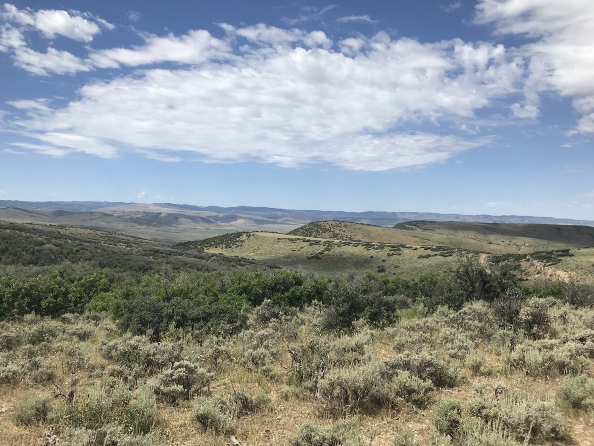 Lease #9 - Griffin Ranch $3,100 per hunter