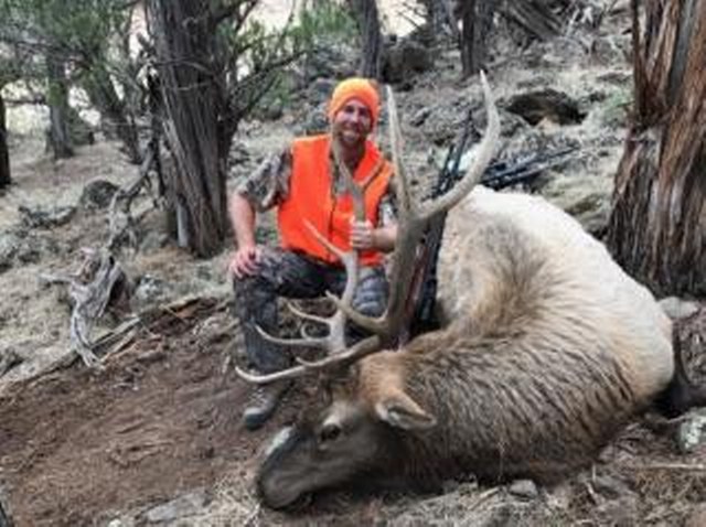 Colorado Elk Hunting