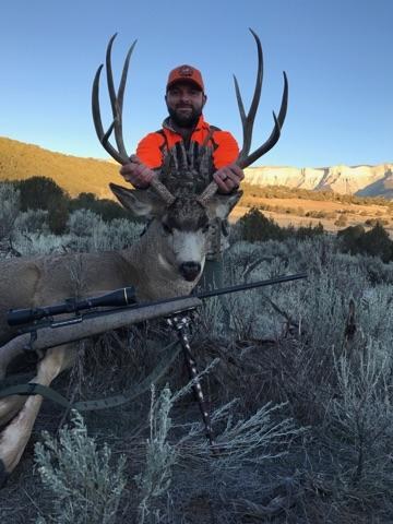 Colorado Mule Deer Hunting